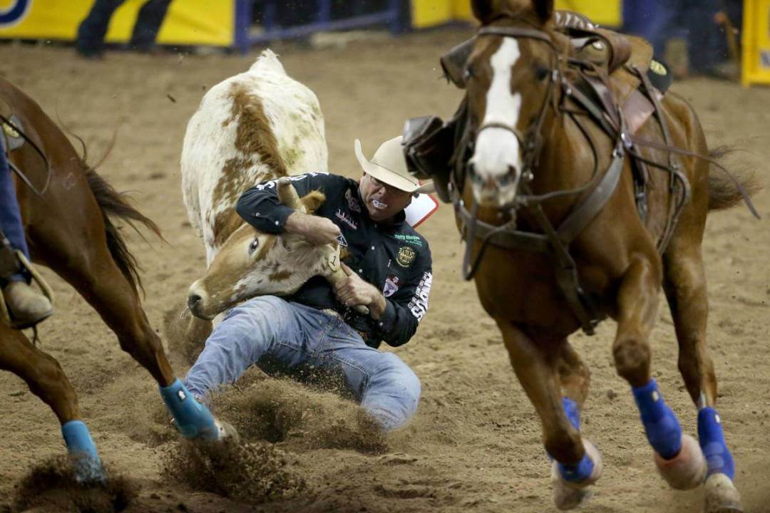 Clube Sertanejo - Modalidade de Rodeio Bulldogging